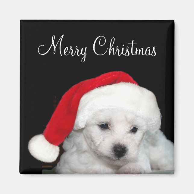 Íman Bichon Frise Christmas (Frente)