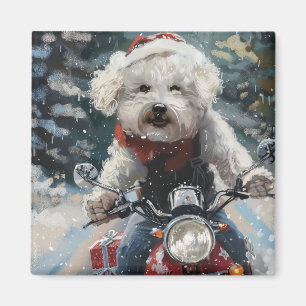 Íman Bichon Frise Dog Andando Moto Natal