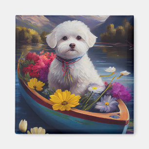 Íman Bichon Frise em uma Canoa: Uma Aventura Cênica