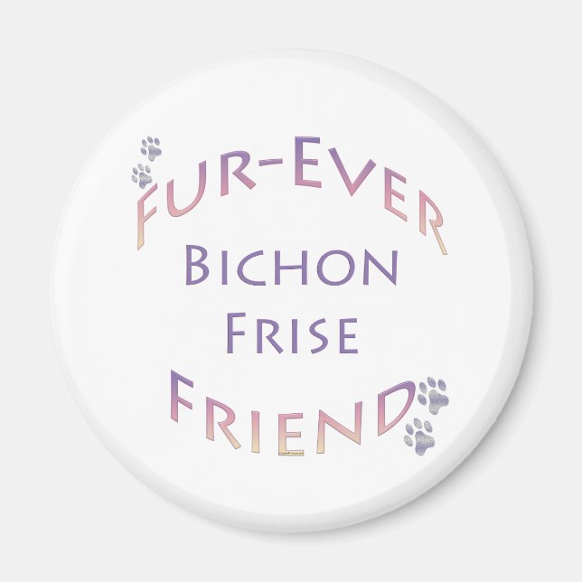 Íman Bichon Frise Fuere (Frente)