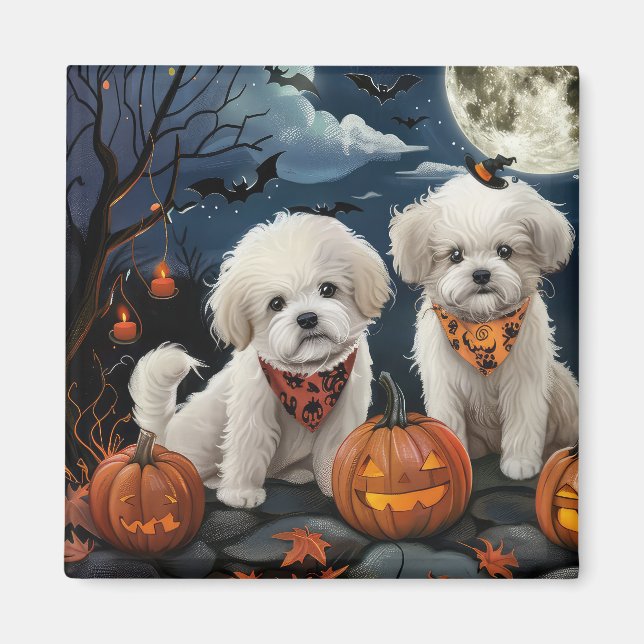 Íman Bichon Frise Halloween Assustador (Frente)