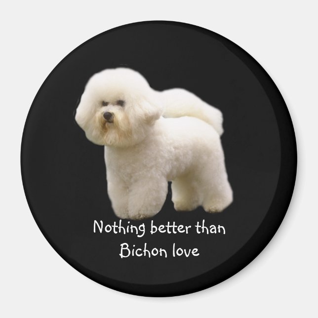 Íman Bichon Frise Magnet (Frente)