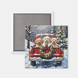 Íman Bichon Frise Natal Caminhão Vermelho Férias