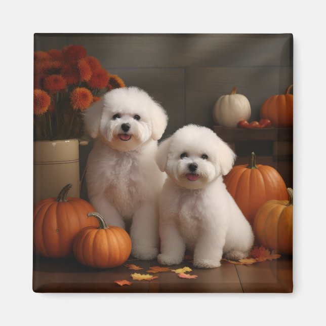 Íman Bichon Frise Puppy Autumn Delight Pumpkin (Frente)