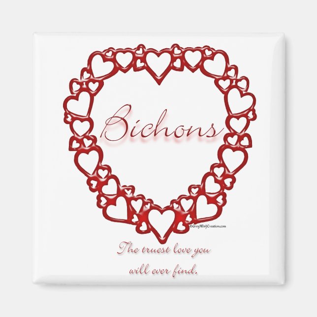 Íman Bichon Frise True Love (Frente)