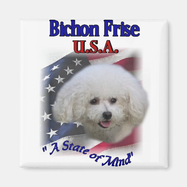 Íman Bichon Furgts (Frente)
