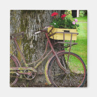 Bicicleta Antiquada Antiga com Flower Basket