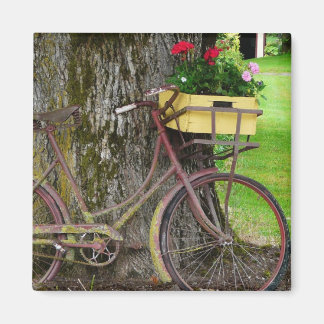 Íman Bicicleta Antiquada Antiga com Flower Basket
