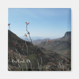 Íman Big Bend National Park, Texas