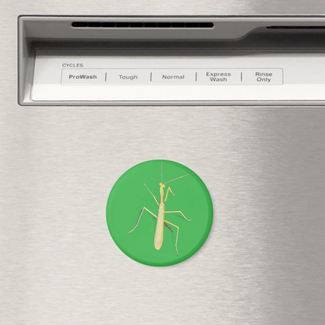 Íman Big Mantis (In Situ (Dishwasher))