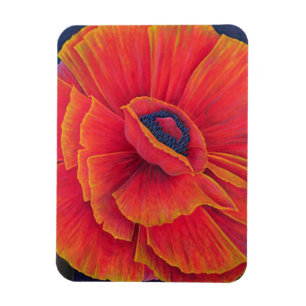 Íman Big Poppy 2003