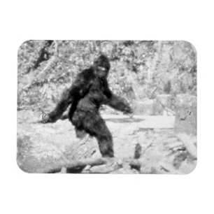 Íman Bigfoot
