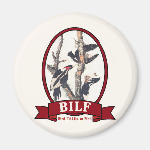 ÍMAN BILF