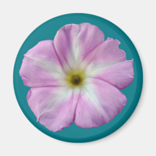 Íman Bindweed nº 1