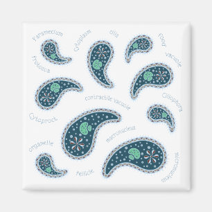 Íman Biologia da Paramecia Paisley Ciência Micro-organi