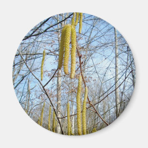 Íman Birch Catkins Magnet