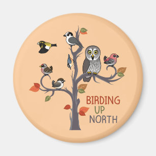 Íman Birding acima do norte