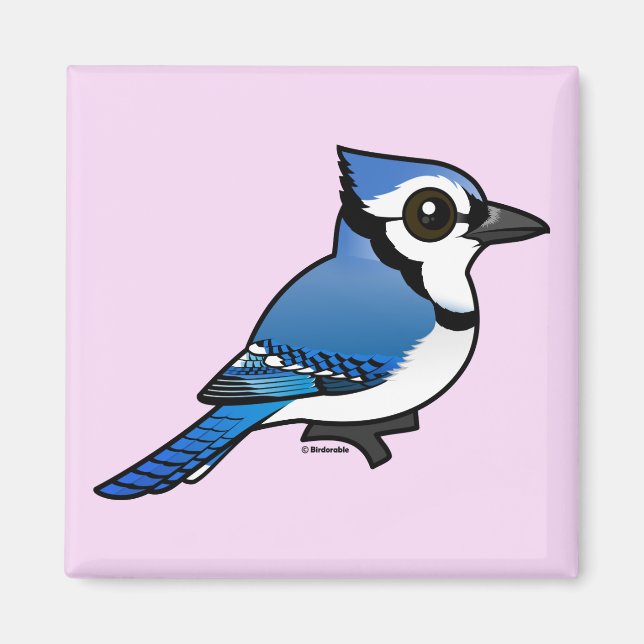Íman Birdorable Blue Jay (Frente)