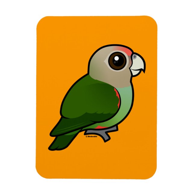 Íman Birdorable Cape Parrot (Vertical)