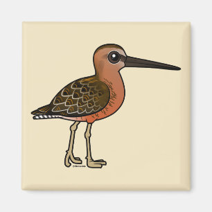 Íman Birdorable Longo-faturou o Dowitcher