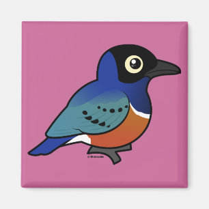 Íman Birdorable Starling magnífico