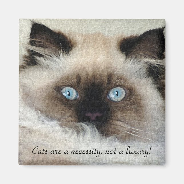Íman Birman - Ragdoll Cat Lover Magnet (Frente)