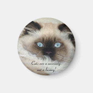 Íman Birman - Ragdoll Cat Lover Magnet