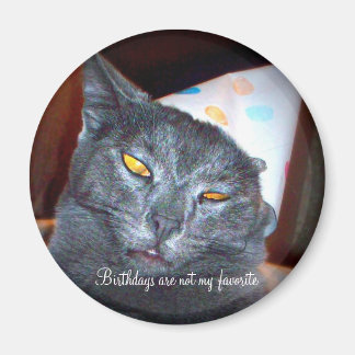 Íman Birthday Pooper