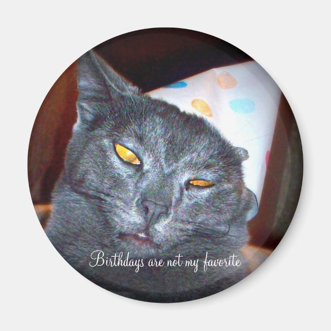 Íman Birthday Pooper (Frente)