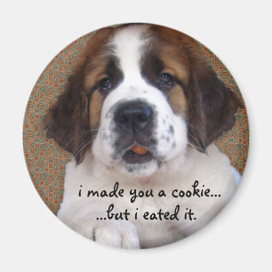 Íman Biscoito do filhote de cachorro de St Bernard