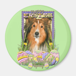 Íman Biscoitos do ovo da páscoa - Sheltie