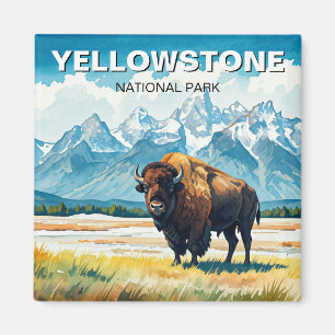 Íman Bison no Parque Nacional Yellowstone