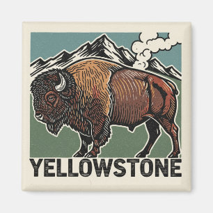 Íman Bisontes do Parque Nacional de Yellowstone