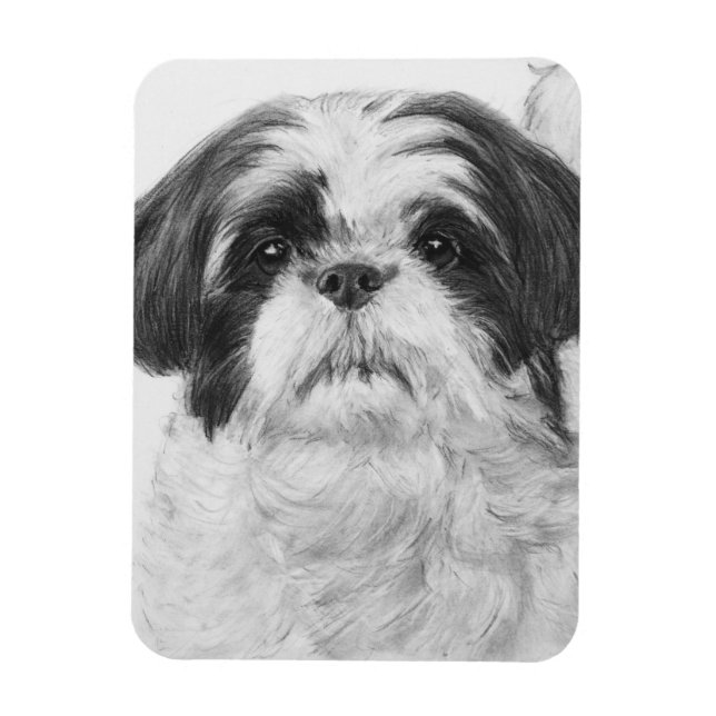 Íman Black and White Shih Tzu Art (Vertical)