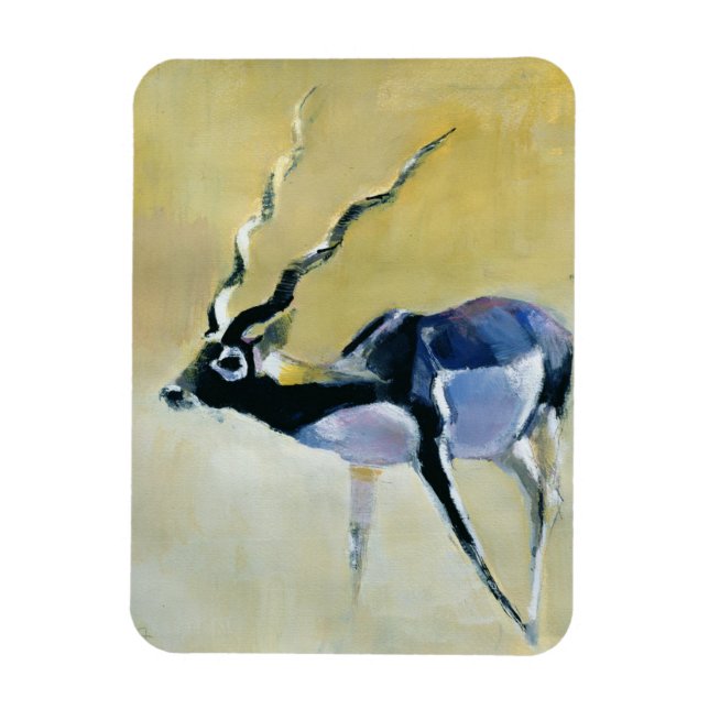 Íman Black Buck Velavadar 1997 (Vertical)