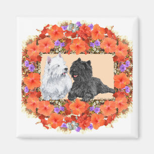 Íman Black Cairn e Terriers Westie em Floral