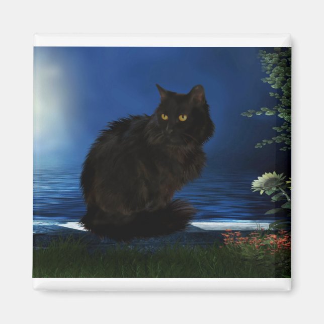 Íman Black Cat Black Doméstico (Frente)