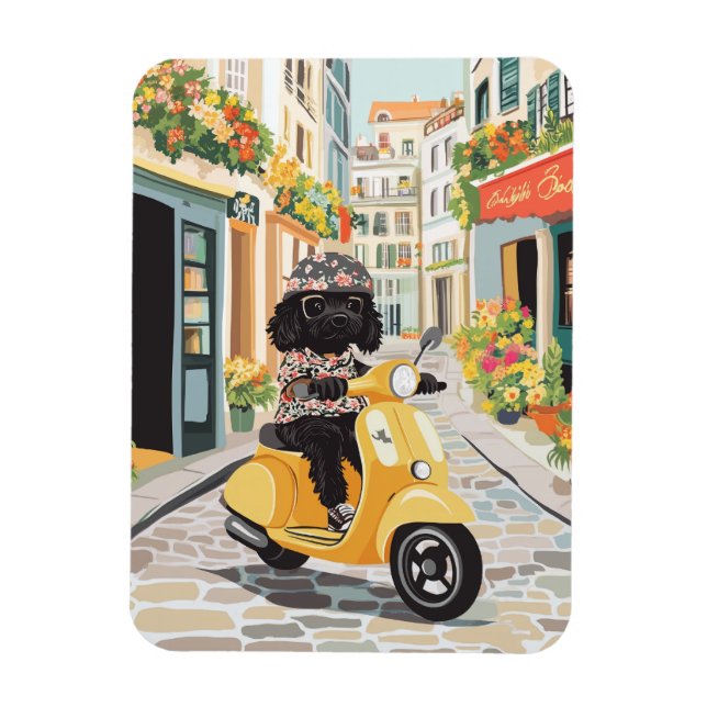 Íman Black Doodle Riding Scooter European City Streets (Vertical)