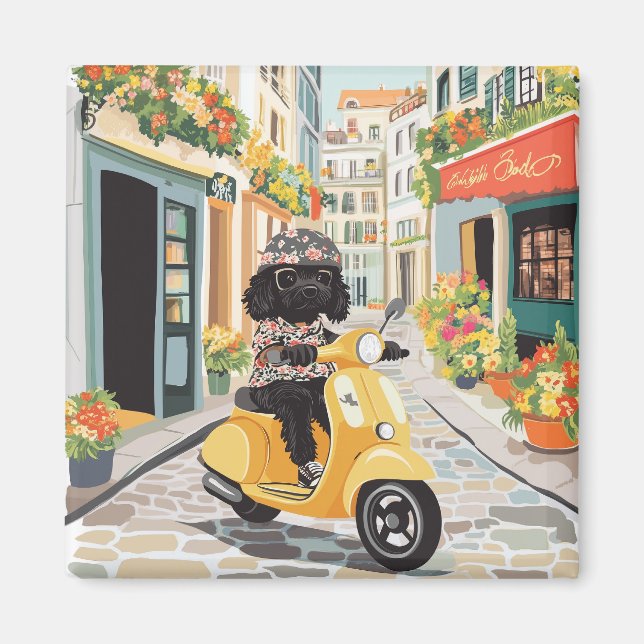 Íman Black Doodle Riding Scooter European City Streets (Frente)