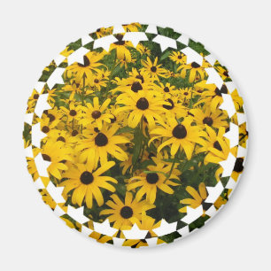 Íman black-eyed-susan-6