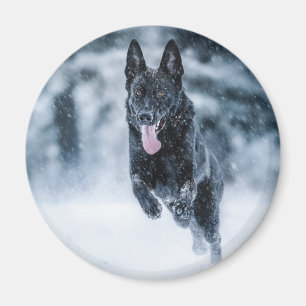 Íman Black German Shepherd in snow Duvet Cover