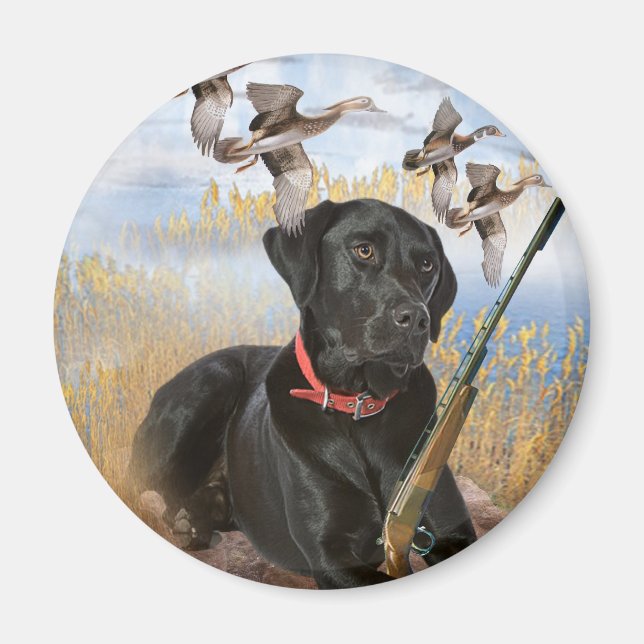 Íman Black Lab caça ímã (Frente)