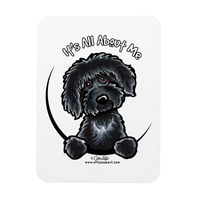 Íman Black Labradodle IAAM (Vertical)