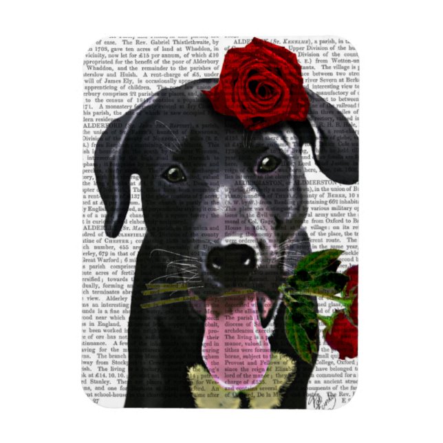 Íman Black Labrador com Rosas (Vertical)