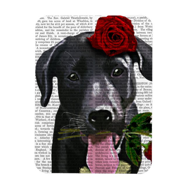 Íman Black Labrador com Rosas 2 (Vertical)