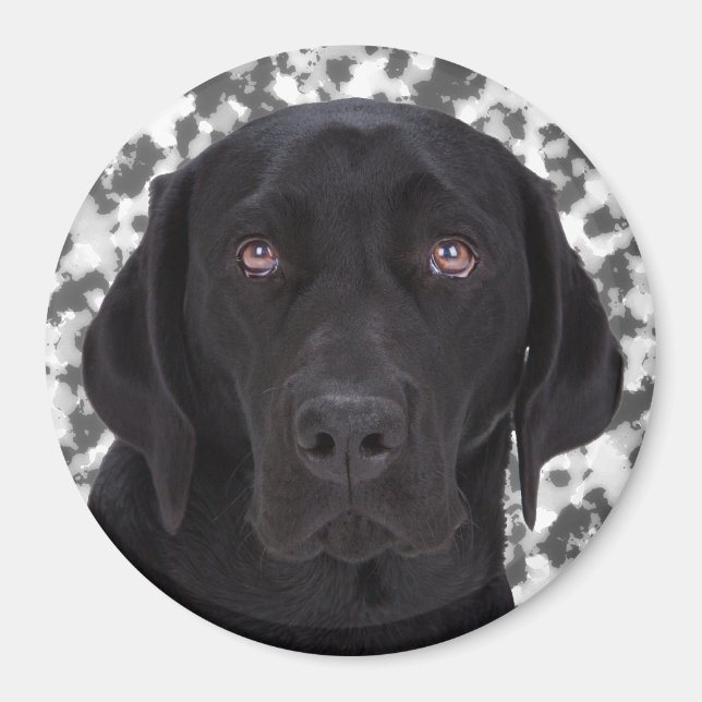 Íman Black Labrador Retriever (Frente)