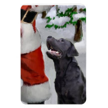 Black Labrador Retriever Com Natal De Papais noeis