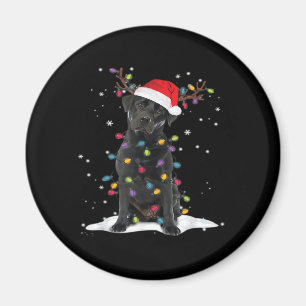 Íman Black Labrador Xmas Dog Árvore de Natal Classe Lev