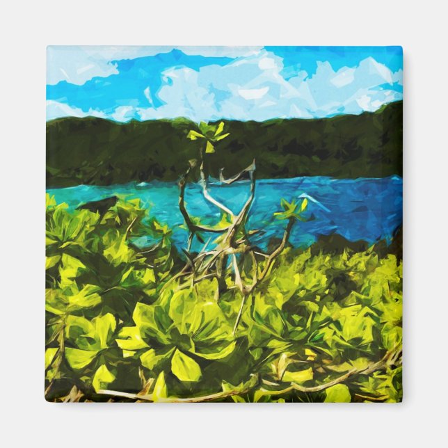 Íman Black Sand Beach na estrada para Hana Maui Abstrat (Frente)