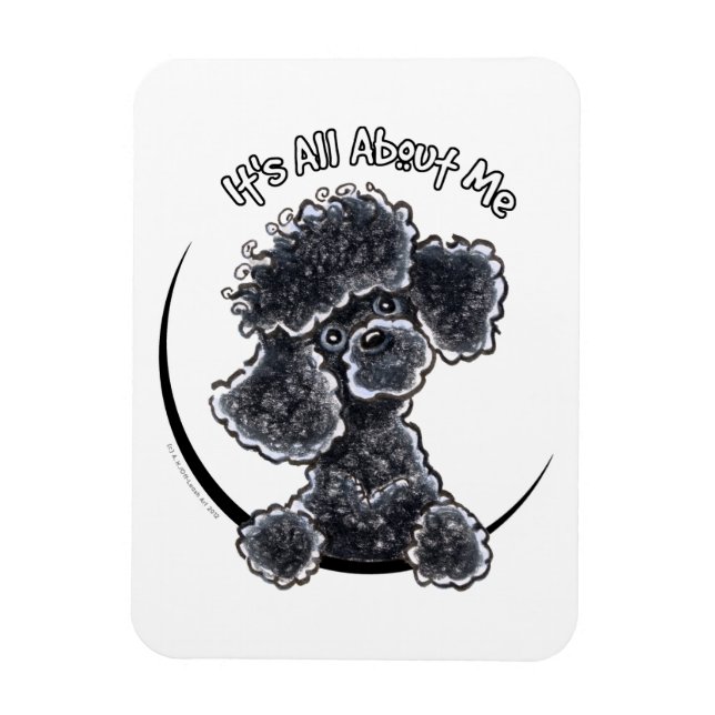 Íman Black Toy Poodle IAAM (Vertical)